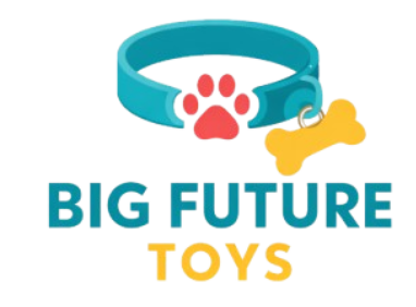 Big Future Toys